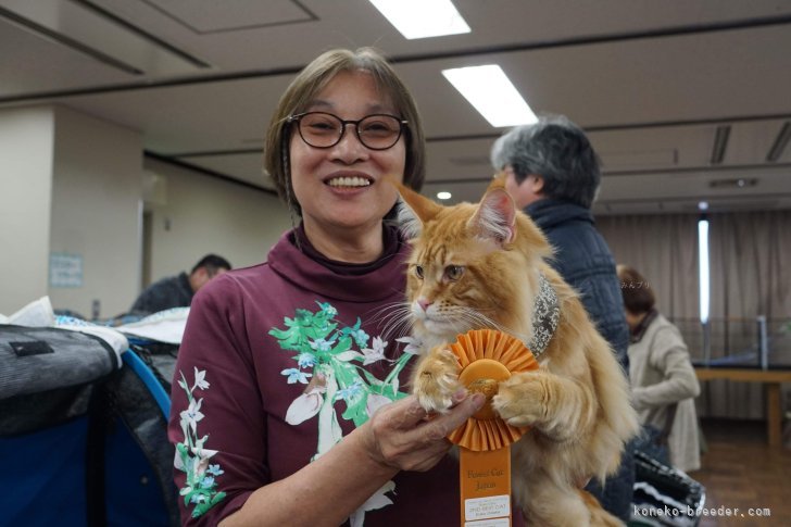 お気軽にお問い合わせくださいね｜古俣　伸子(こまた　のぶこ)ブリーダー(新潟県・メインクーン・CFA/SPCC,MCC登録)の紹介写真10