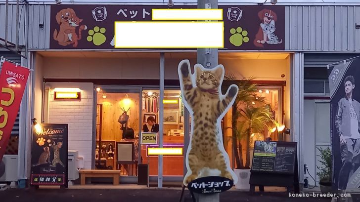 当社、直営店になります。｜筌瀬　政彦(うけせ　まさひこ)ブリーダー(宮崎県・ベンガル・TICA/BCF登録)の紹介写真5