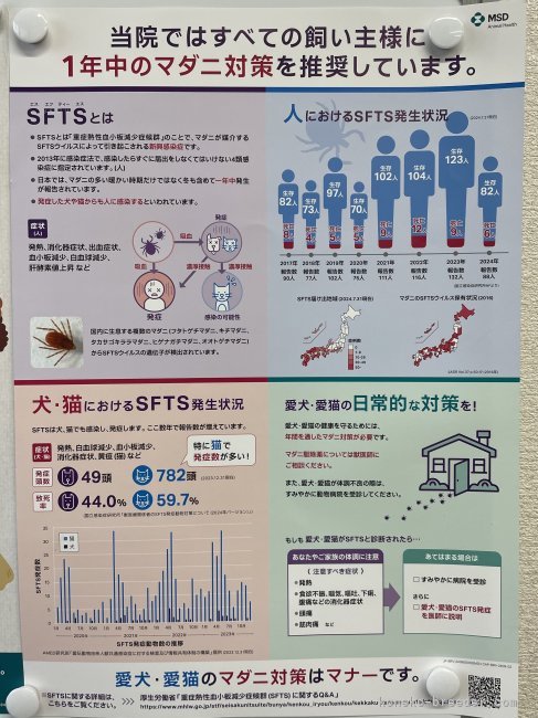 冨岡利枝ブリーダーのブログ：愛猫のマダニ対策はマナーです。