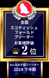 板敷直紘ブリーダーのブログ：2024年下半期お客様評価ランキングスコにゃん部門全国2位をいただきました✨️