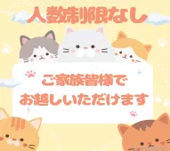 ノルウェージャンフォレストキャット【千葉県・女の子・2025年2月18日・ブラウンタビー&ホワイト】の写真9「ご家族みんなでご来店いただけます👪人数制限はありませんので皆さんでお越しください💖」