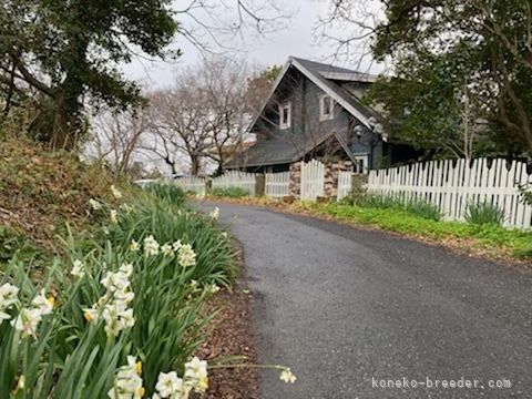 母屋の正門外観｜尾崎　直人(おざき　なおと)ブリーダー(福岡県・ブリティッシュショートヘアなど・ZCC登録)の紹介写真7