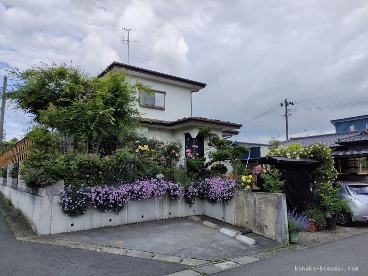 ネコ舎の外観（お客様専用駐車場1台）その他に3台分あります｜熊田　貞子(くまだ　さだこ)ブリーダー(福島県・マンチカンなど・CFA/KCP登録)の紹介写真8