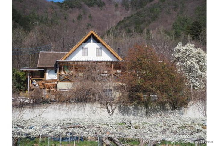 猫舎の環境はこちらになります。｜安西　隆博(あんざい　たかひろ)ブリーダー(山梨県・アメリカンショートヘア・ACC登録)の紹介写真2