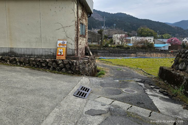 猫舎入口｜深口　秀人(ふかぐち　ひでと)ブリーダー(兵庫県・スコティッシュフォールドなど・CTS登録)の紹介写真9