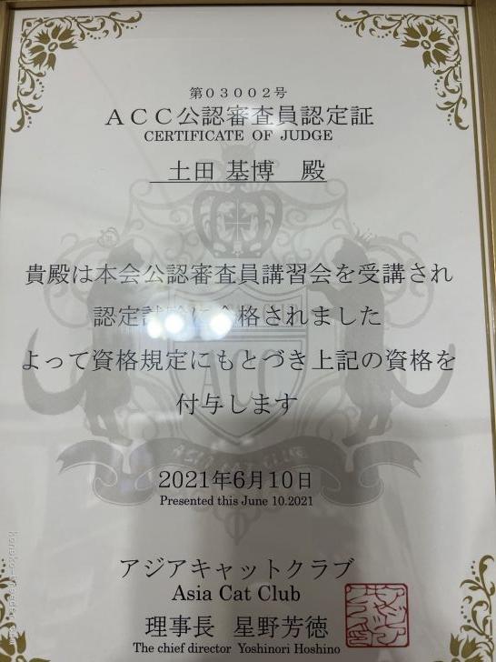 ACC公認審査員認定証｜土田　基博(つちだ　もとひろ)ブリーダー(愛知県・ベンガル・ACC登録)の紹介写真4