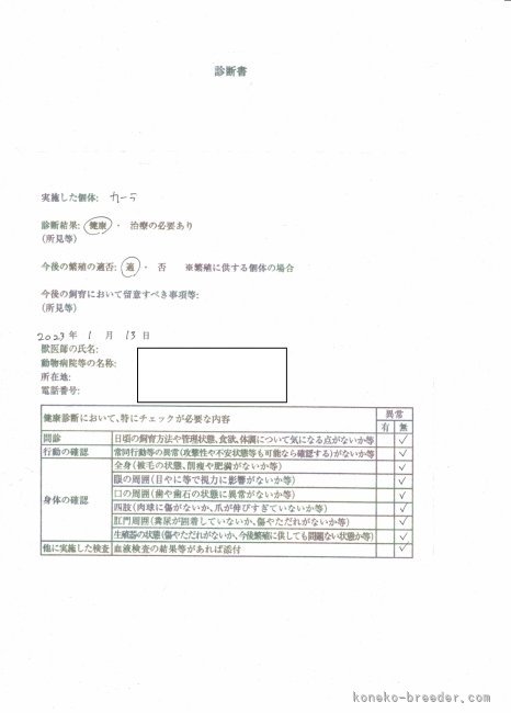 健康 セール 診断 書 見本