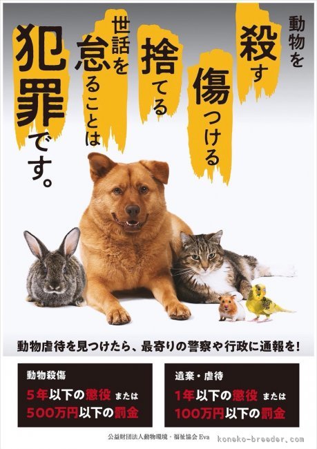 動物愛護法書改正に伴い 山井龍己ブリーダー みんなの子猫ブリーダー