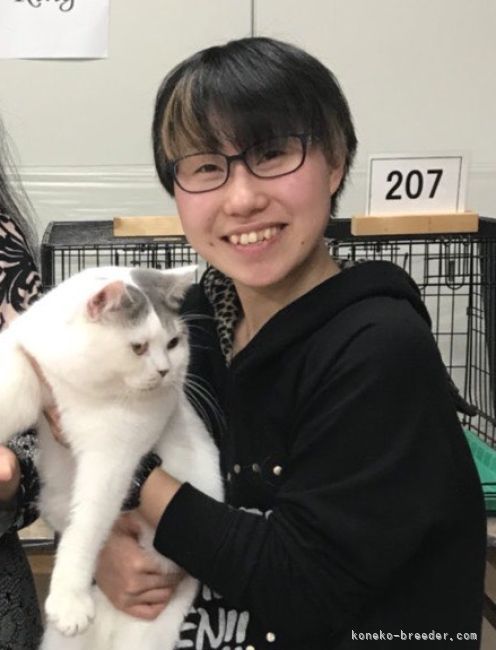 キャットショーに参加したときの写真です！｜吉田　桃子(よしだ　とうこ)ブリーダー(千葉県・ブリティッシュショートヘアなど・TICA/ECC登録)の紹介写真2