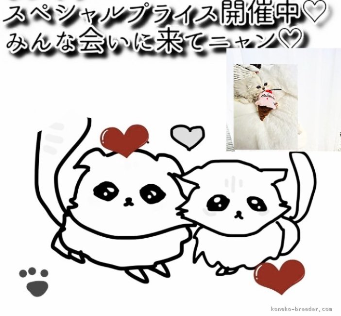 水木由佳ブリーダー