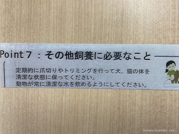 白井摩美ブリーダーのブログ：猫アレルギーはこんなことが原因なんですよ…シャンプーはとっても大切なケア🐈