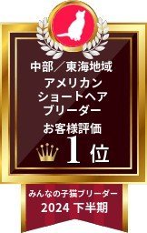 白井摩美ブリーダーのブログ：鏡開き直前で4腹がママになりました🐱