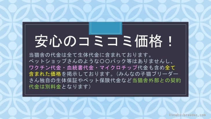 他にお金掛かるの？いいえ、掛かりません！｜杉田　伸也(すぎた　しんや)ブリーダー(埼玉県・ノルウェージャンフォレストキャット・ACC登録)の紹介写真3