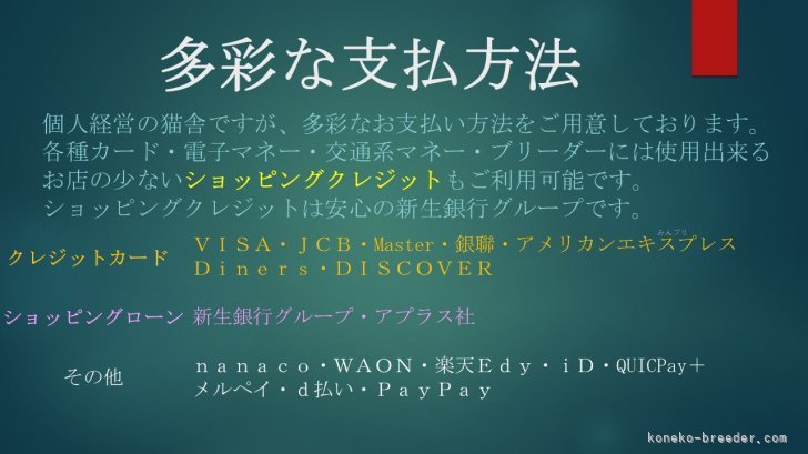 多彩なお支払方法を完備しております。ブリーダーでは珍しいショッピングクレジットもご利用頂けます。｜杉田　伸也(すぎた　しんや)ブリーダー(埼玉県・ノルウェージャンフォレストキャット・ACC登録)の紹介写真4