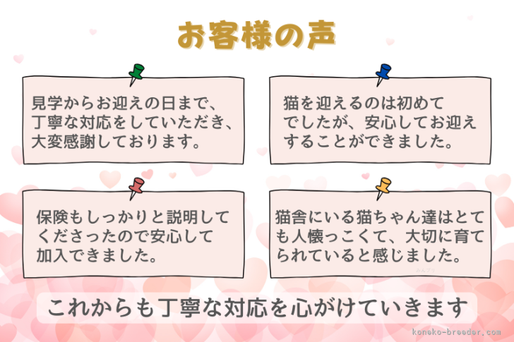 丁寧に、誠実に。多くの方にご好評いただいています。｜時田　陽平(ときた　ようへい)ブリーダー(千葉県・アメリカンショートヘアなど・PCC登録)の紹介写真10