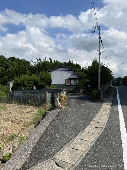 車が入りにくい時はお電話ください｜高倉　千草(たかくら　ちぐさ)ブリーダー(福岡県・ベンガルなど・JCC登録)の紹介写真10