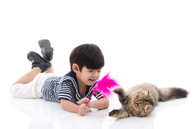 猫と子どもは仲良くなれる 仲良くなるコツとおすすめの猫種 みんなの子猫ブリーダー