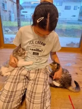 ゆう 様のお迎えした子猫