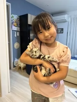 Y.K 様のお迎えした子猫