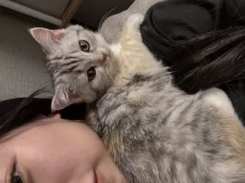 あずあず 様のお迎えした子猫