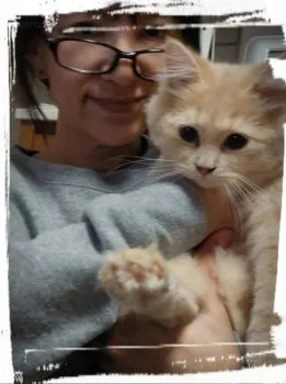 にゃん汰 様のお迎えした子猫