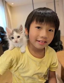 N 様のお迎えした子猫