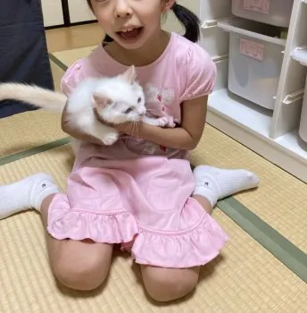 ティー 様のお迎えした子猫