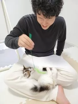 A.O 様のお迎えした子猫