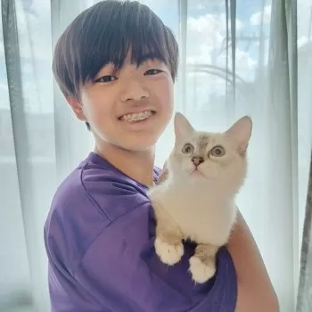 にゃんぼーる 様のお迎えした子猫