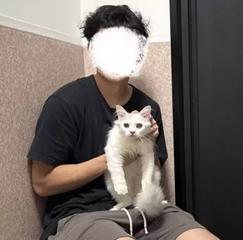 HK 様のお迎えした子猫
