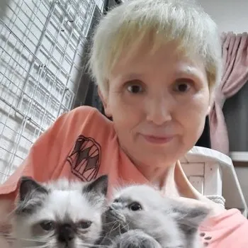 H.Iいっちゃん 様のお迎えした子猫