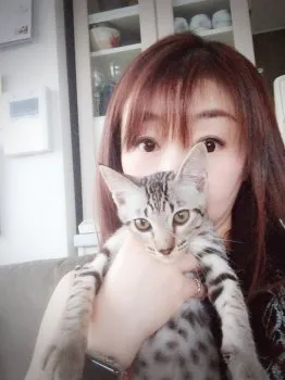 びわにゃんこ 様のお迎えした子猫