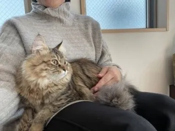 RS 様のお迎えした子猫