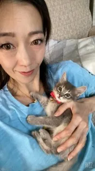 ノア 様のお迎えした子猫