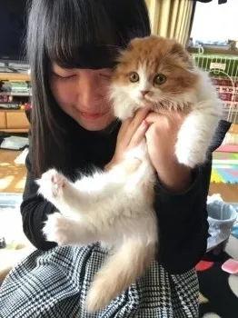 パピー 様のお迎えした子猫