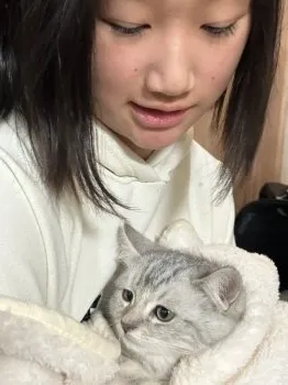 Y.O 様のお迎えした子猫