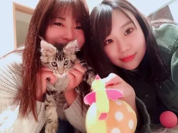 アンニョ 様のお迎えした子猫