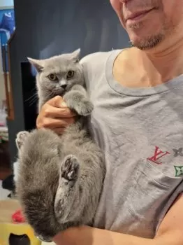 ojaboo 様のお迎えした子猫