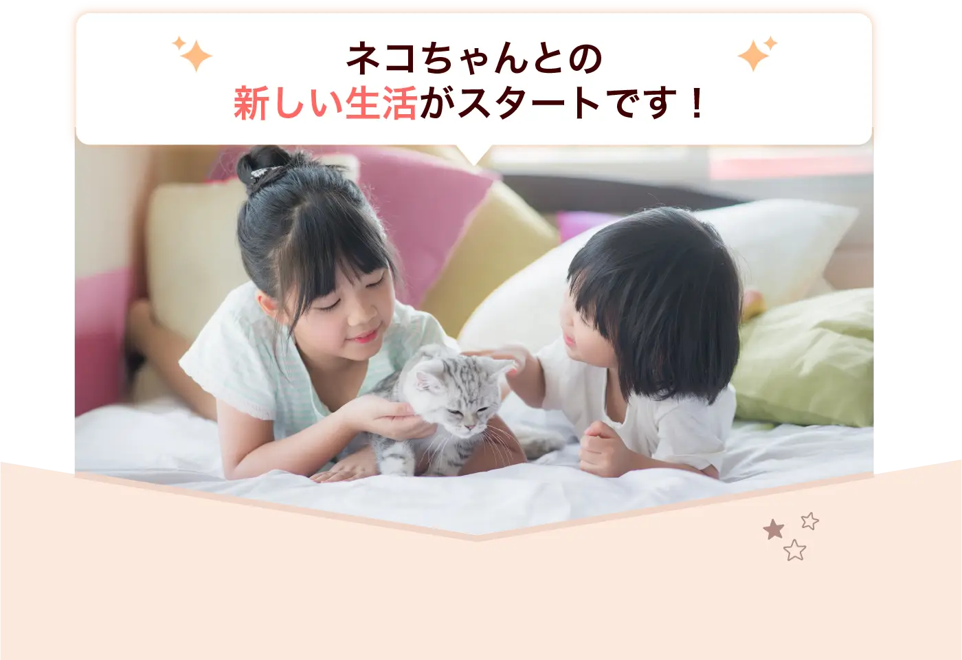 ネコちゃんとの新しい生活がスタートです！