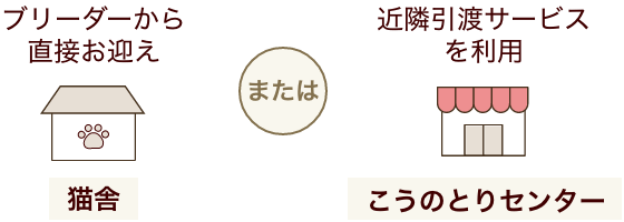 ベンガル【愛知県・女の子・2024年1月30日・シルバースポテッドタビー